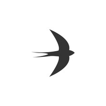 Simple Design Of Swift Bird Logo Icon Template Vector Illustration