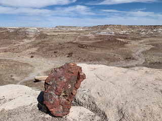 Giant petrified logs in the Petrified Forest National Park in Arizona.