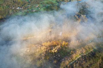 Wall Mural - fly above fog on the river with forest in sun light