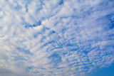 Fototapeta Na sufit - Blue sky.