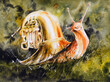 Happy snail with trumpet instead of shell. Picture created with watercolors.