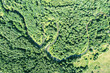 small winding river surrounded by green forest. aerial top view in summer day.
