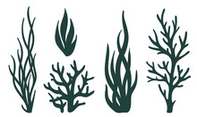 Laser Cutting Template. Seaweeds. Set Of Coral Reef Underwater Plants Vector Isolated On White Aquarium Alga Set, Ocean Water Plants Silhouette. Paper Cutout. Stamp. Stencil.