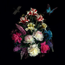 Colorful Flowers On A Black Background In The Style Of A Classic Floral Still Life.