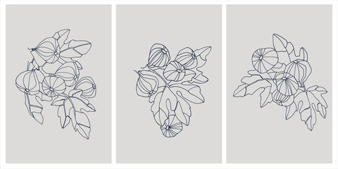 Decor printable art. Set of hand drawn vector illustrations of fig fruits on branches