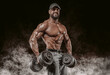 © andy_gin - Muscular athlete posing in the studio with dumbbells. Fitness and classic bodybuilding concept.