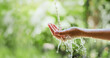 © Pintira - water pouring flow on woman hand  on nature background
