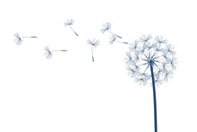 Dandelion Vector. Make A Wish. Simple Minimalist Style.