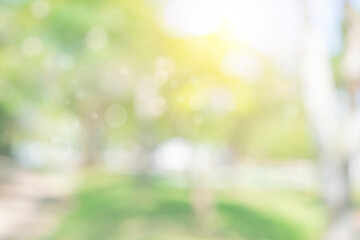 Wall Mural - nature bokeh blur abstract background