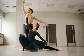 Wall Mural - Female and male ballet dancers in action