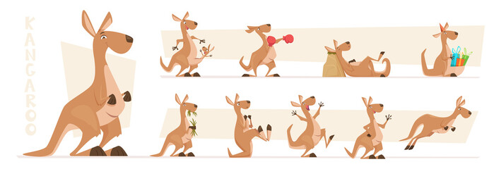 Wall Mural - Kangaroo characters. Wildlife australian animals standing and jumping exact vector kangaroo in action poses