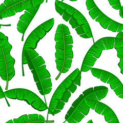 green banana leaves seamless pattern