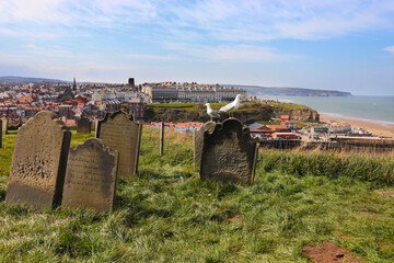 Wall Mural - St Mary's Graveyard, Whitby, North Yorkshire