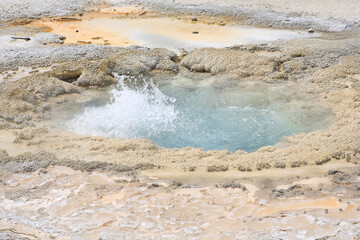 Wall Mural - Geyser in Yellowstone National Park, Wyoming, USA