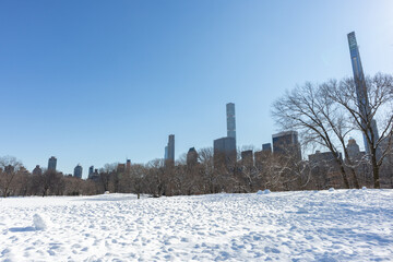 Wall Mural - Sheep Meadow Covered in Snow at Central Park in New York City with the Midtown Manhattan Skyline during Winter