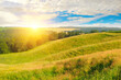 © alinamd - hills with green grass and trees in the rays of the sunset.