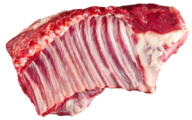 Wall Mural - Isolated fresh raw beef ribs meat part on the white background