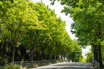 Canvas Print - 吹田市の三色彩道