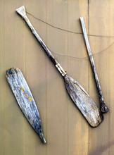 Weathered, Cracked And Broken Paddles Mounted On Shed Wall.