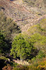 Canvas Print - General view of the Ribeira de Quelhas walkway in Coentral, Serra da Lousã, Portugal, during the day.