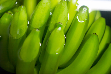 Wall Mural - Bunches of fresh green thailand banana