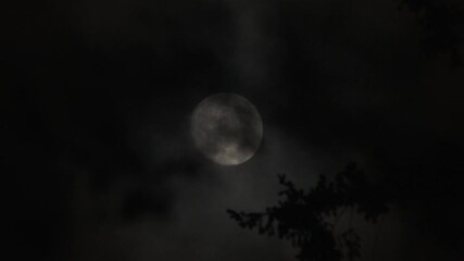 Wall Mural - looping stormy night full moon sky