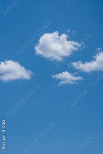 6 936 Vertical Longitudinal Nature Wall Murals Canvas Prints Stickers Wallsheaven