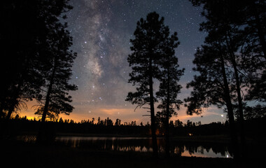 Wall Mural - the milky way over a forest lake