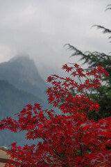 Wall Mural - Beautiful scenery of alpine mountains from the Italian town of Courmayeur