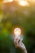 © panomporn - light bulb against nature, icons