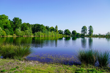 Canvas Print - Parempuyre shore aside water lake in gironde france