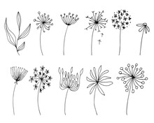 Continuous Line Drawing Hand Drawn Set Of Simple Flowers Black Sketch Isolated On White Background. Plants, Leaves, Flowers Hand Drawn Line Set. Minimalist Botanical Drawing. Vector EPS 10.
