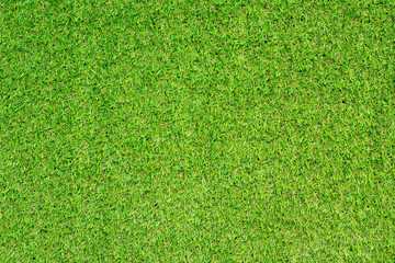 Canvas Print - artificial grass texture for background