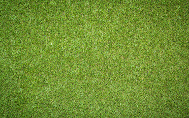 Canvas Print - artificial grass texture for background
