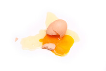 The Fallen Organic Egg Lies Broken With The Eggshell Smashed And Yolk And White Flowing Out Of It. 
