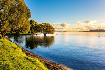 Poster - North Island of New Zealand