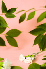 Wall Mural - Beautiful pink background with flowers and green leaves, natural background. Beautiful for cosmetics and your product. Blurred background.