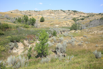 Wall Mural - Thodore Roosevelt National Park in North Dakota, USA