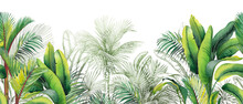Seamless Watercolor Border With Green Tropical Foliage.