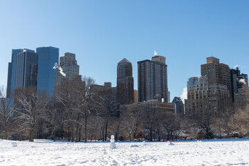 Wall Mural - Lincoln Square Skyline seen from the Snow Covered Sheep Meadow at Central Park during the Winter in New York City