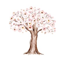 Watercolor Genealogical Blossom Cherry Family Tree. Watercolor Children's Tree Botanical Season Isolated Illustration. Green Forest Ecology Branch And Leaves.