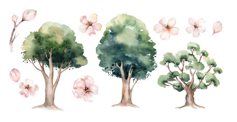 Watercolor Genealogical Family tree. Watercolor children's tree botanical season isolated illustration. olive, oak and cypress. Green forest ecology branch and leaves.