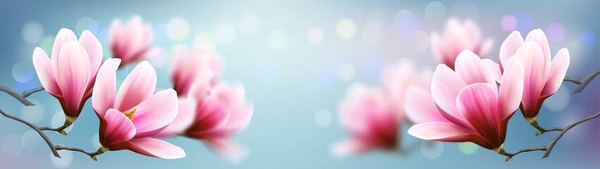 Poster - Nature background with beautiful magnolia branches on sky. Vector.