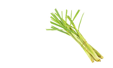 Wall Mural - lemon grass