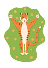 A Cute Funny Tiger Lies In A Meadow With Yellow Flowers Spreading His Arms. Vector Spring, Summer Illustration.