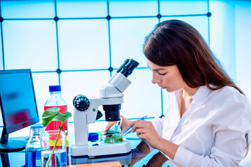 Wall Mural - Young woman with microscope in GMO laboratory. Study of green plant of agricultural plants with a microscope