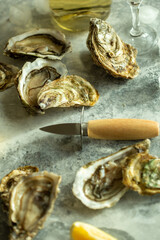 Open and closed mussels with ice, lemon , oyster knife and vine on a gray background. Selective focus . Macro.