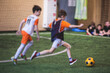 © tsuguliev - Football soccer game for kids, junior young football team group of children team having training session, or football game on a pitch, running and kicking ball on green pitch
