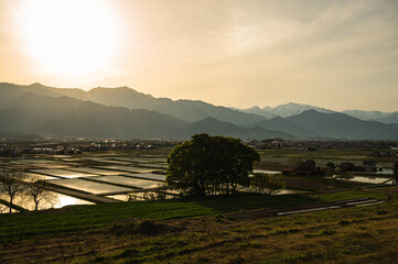 Sticker - 田植え頃の池田町の夕景