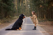 a girl stands and points a finger to the dog Bernese Mountain Dog in the forest on the road in spring